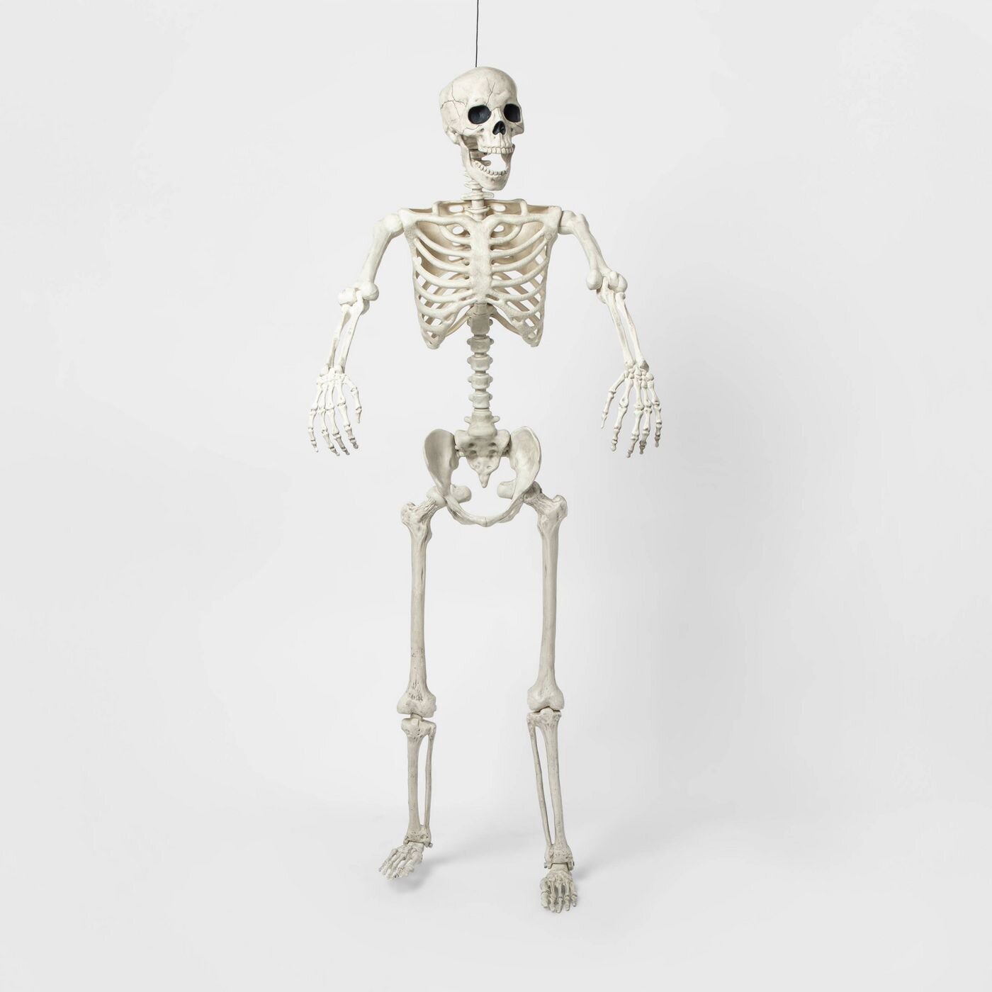 Lifesize Poseable Skeleton Halloween Decor - Hyde & EEK! Boutique™.jpg