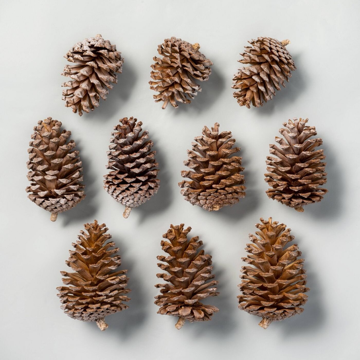 10pc Bleached Pinecone Set - Hearth & Hand™ with Magnolia.jpg