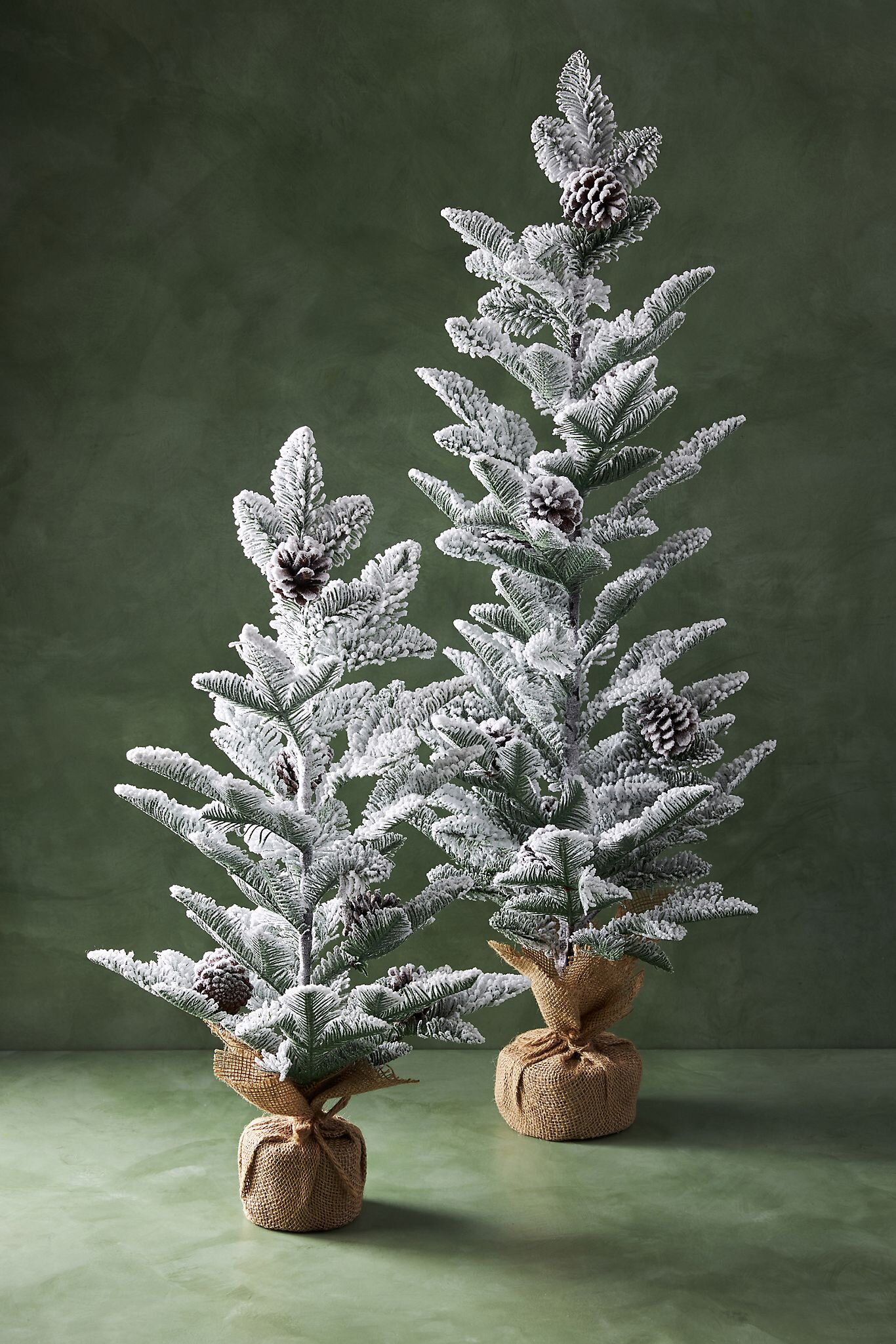 Decorative Snow-Dusted Pine Tree.jpg