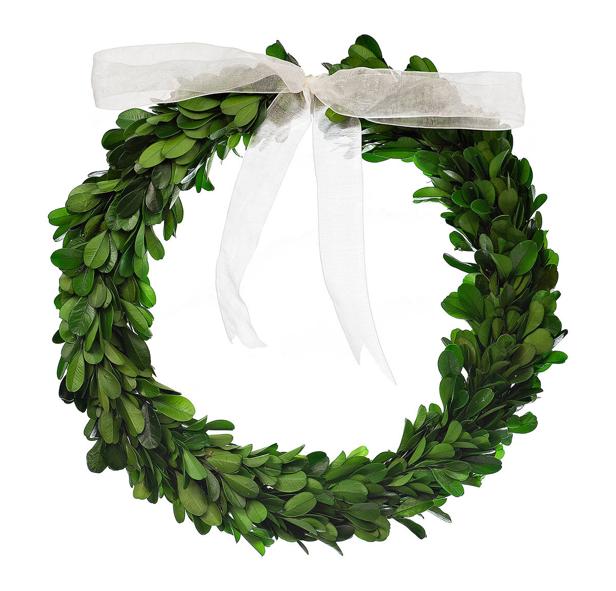Preserved Boxwood Wreath with Bow, 10 in.
