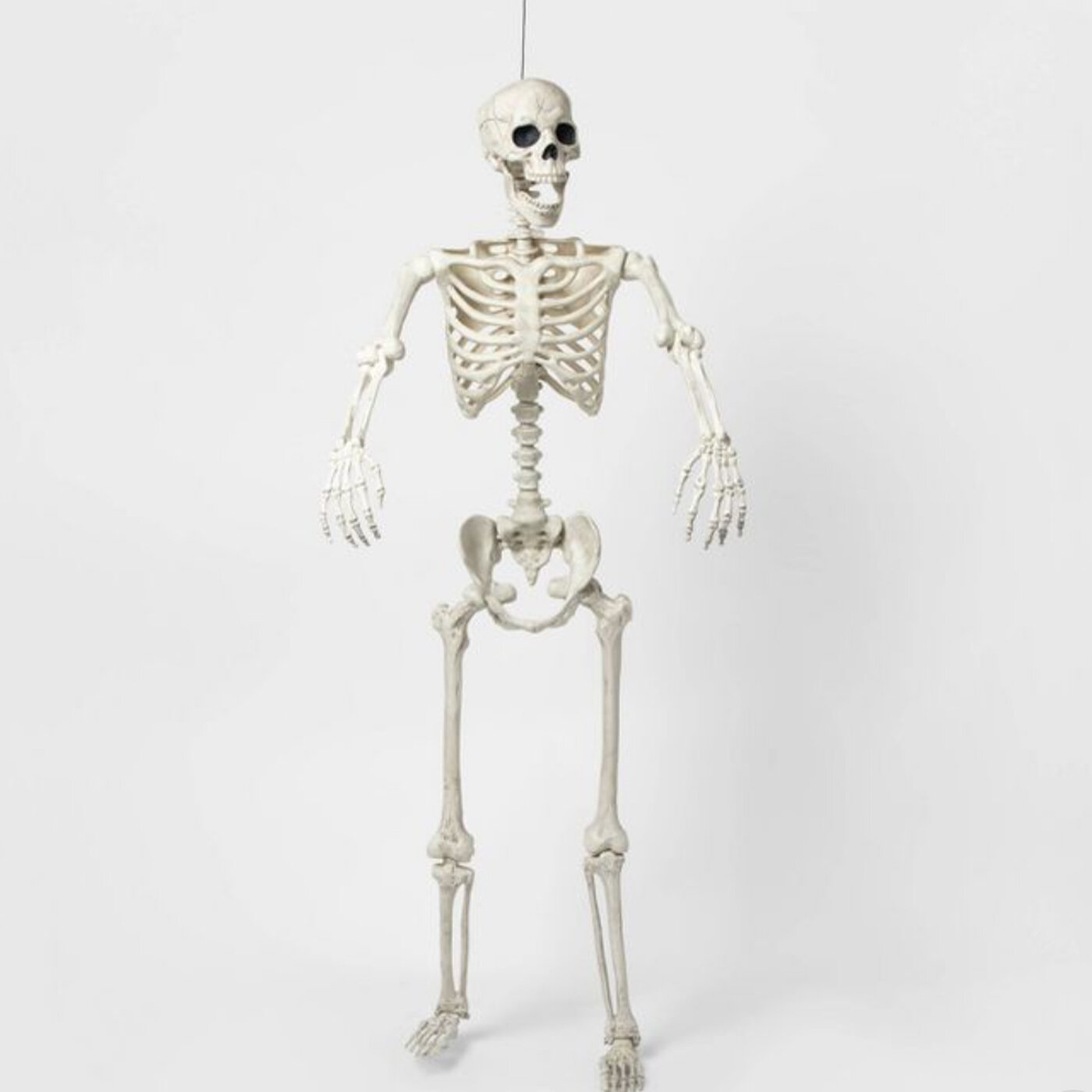 60" Posable Lifesize Skeleton XL Halloween Decorative Mannequin